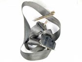Cinturón trasero