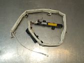 Airbag de la puerta delantera