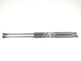 Tailgate/trunk strut/damper