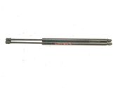 Tailgate/trunk strut/damper