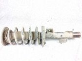 Amortiguador delantero con muelle espiral