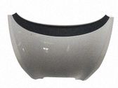 Motorhaube