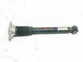 Stoßdämpfer hinten