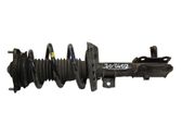 Amortiguador delantero con muelle espiral