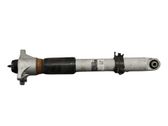 Rear shock absorber/damper
