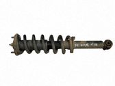 Amortiguador delantero con muelle espiral