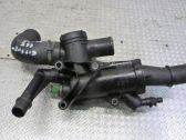 Thermostat/thermostat housing