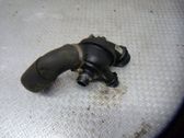 Thermostat/thermostat housing