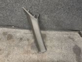 (A) pillar trim