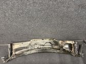 Other body part