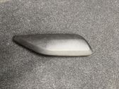 Other front door trim element