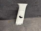 (B) pillar trim (top)