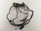 Front door wiring loom