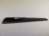 Other rear door trim element