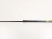 Tailgate/trunk strut/damper