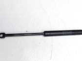 Tailgate/trunk strut/damper