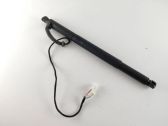 Tailgate/trunk strut/damper