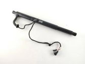 Tailgate/trunk strut/damper