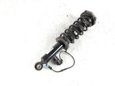 Rear shock absorber with coil spring