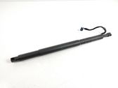 Tailgate/trunk strut/damper