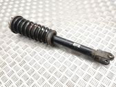 Front shock absorber with coil spring