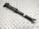Rear shock absorber/damper