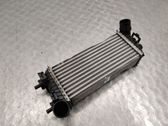 Intercooler radiator