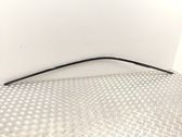 Roof trim bar molding cover