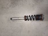 Rear shock absorber with coil spring