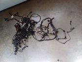 Engine installation wiring loom