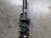 Front shock absorber with coil spring