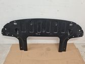 Front bumper skid plate/under tray