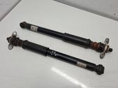 Rear shock absorber/damper