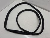 Rear door rubber seal (on body)