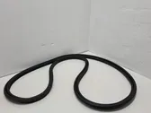 Trunk rubber seal (body)