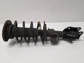 Front shock absorber with coil spring