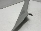 (A) pillar trim