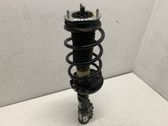 Front shock absorber/damper