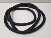 Rear door rubber seal (on body)