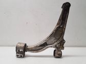 Front lower control arm/wishbone