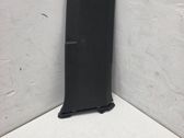 (B) pillar trim (bottom)