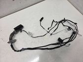 Front door wiring loom