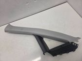 (A) pillar trim