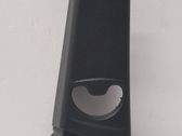 Pilar (B) (superior)