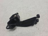 Sliding door lower roller guide/hinge