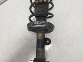 Front shock absorber with coil spring