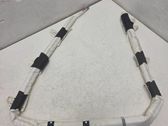 Roof airbag