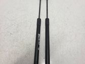Tailgate/trunk strut/damper