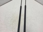 Tailgate/trunk strut/damper