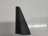 Other rear door trim element